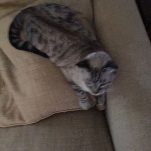 Meet your Posher, Lynn